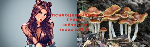 марихуана Инта