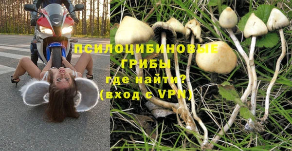a pvp Иннополис
